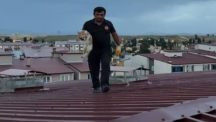 Erzurum'da çatıdaki kediyi itfaiye kurtardı