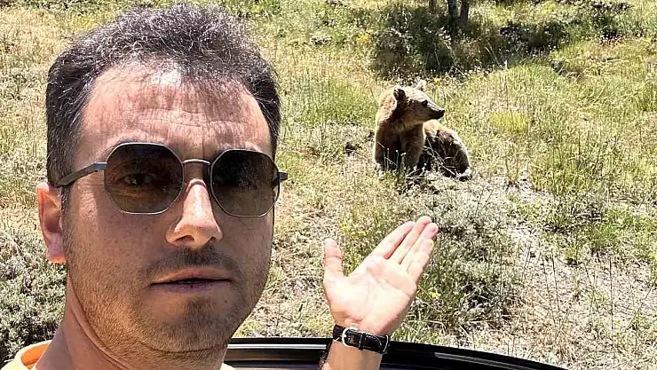 Bitlis'te ayıyı eliyle beslemek istedi, saldırıya uğradı