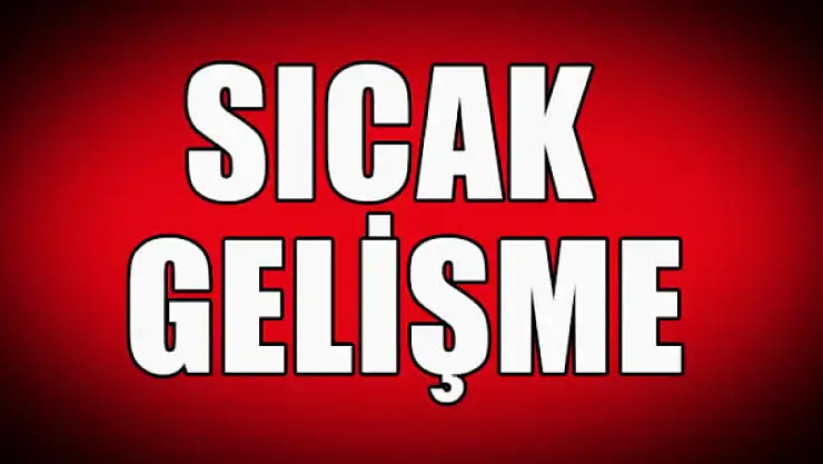 Erzurum'da domuz saldırısında yaralanan kadın hayatını kaybetti