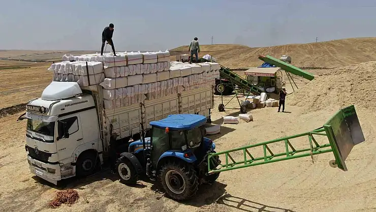 Diyarbakır'da zor şartlar altında preslenen samanlar Türkiye'nin ihtiyacını karşılıyor