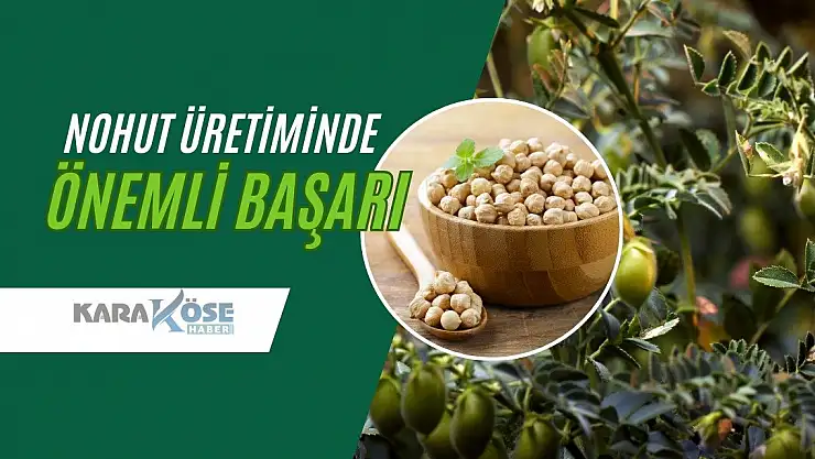Nohut Üretiminde Önemli Başarı