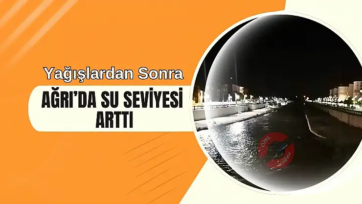 Yağışlar sonrası Ağrı'da su seviyesi yükseldi