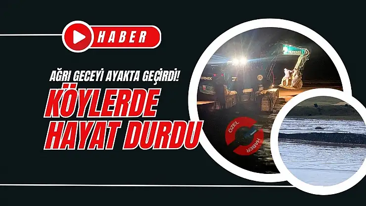 Ağrı geceyi ayakta geçirdi: Köylerde hayat durdu