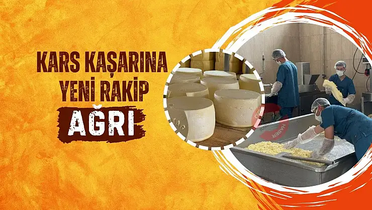 Kars Kaşarına Yeni Rakip: Ağrı
