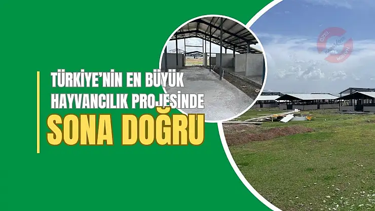 Türkiye'nin en büyük hayvancılık projesinde sona doğru