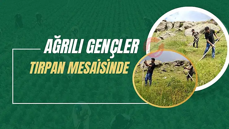 Ağrılı Gençler tırpan mesaisinde