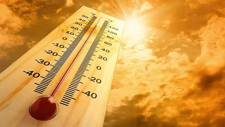 Kavurucu sıcaklar kalbi ve böbrekleri vuruyor
