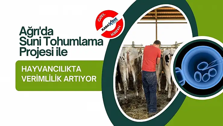 Ağrı'da Suni Tohumlama Projesi ile Hayvancılıkta Verimlilik Artıyor