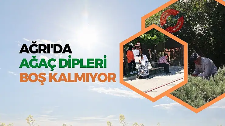 Ağrı'da Sıcak Havalarda Gölgeliklerin Değeri Arttı