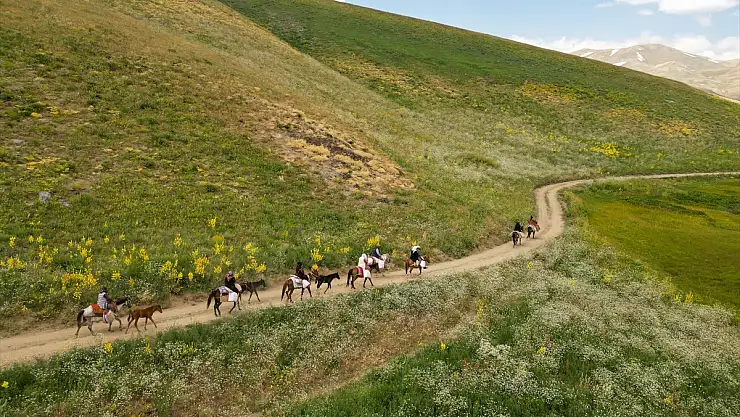 Van'da berivanlar süt sağımı için dere tepe düz gidiyorlar