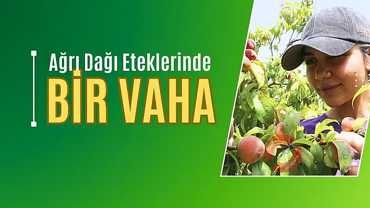 Ağrı Dağı Eteklerinde Bir Vaha
