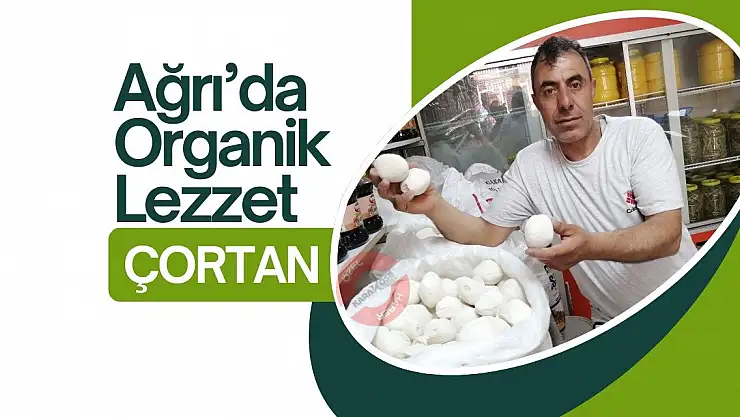 Ağrı'da Organik Lezzet: Çortan