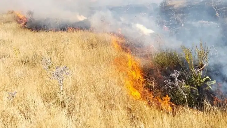 Adilcevaz'da korkutucu yangın