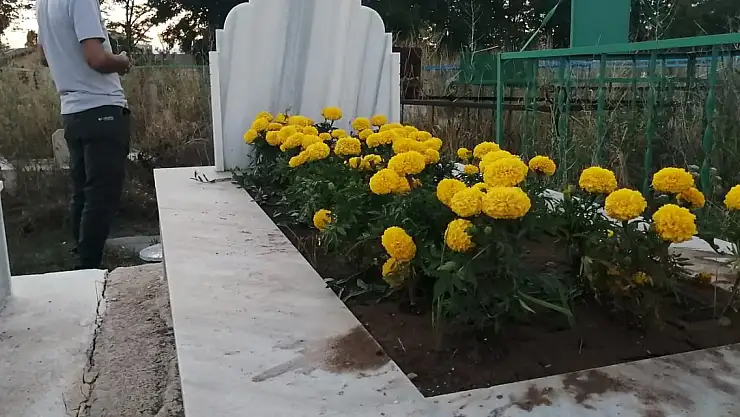 Babasının mezarına özel tohum getirdi
