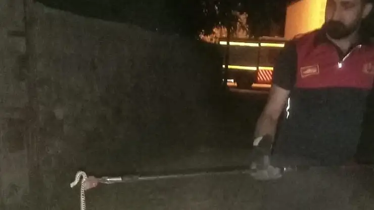 Ağrı'da bir eve yılan girdi