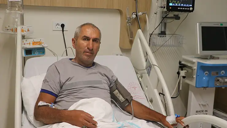 Erzurum'da mantar yiyen 4 kişi hastanelik oldu