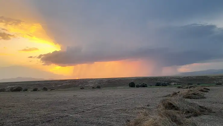 Ağrı'da hasat dönemine yağmur arası