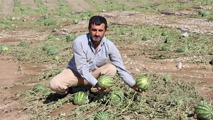 Sel Erzurum'da karpuz tarlasını vurdu