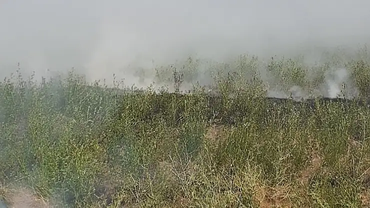 Ağrı'dan peş, peşe yangın haberleri geliyor