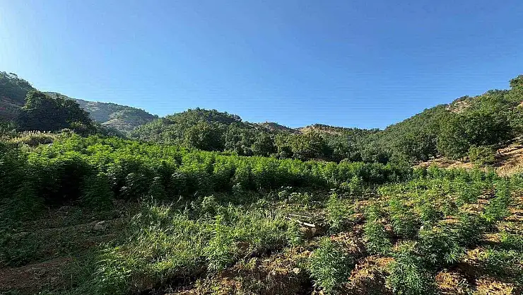 Diyarbakır'da uyuşturucuya darbe