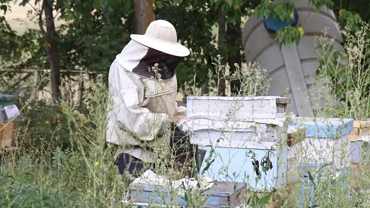 Ağrı'da ilk bal hasadı
