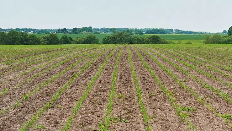 Bakanlık harekete geçti: Mirasla kalan tarım arazileri için yeni dönem başlıyor