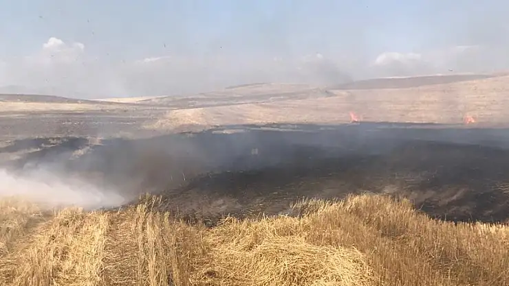 Eskiharman Köyü'nde gece boyu yangın