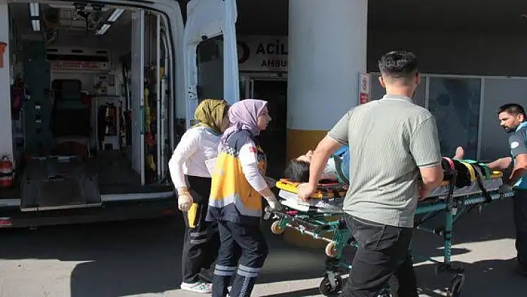 Bitlis'te yaylada köpeğin ısırdığı çocuk yaralandı