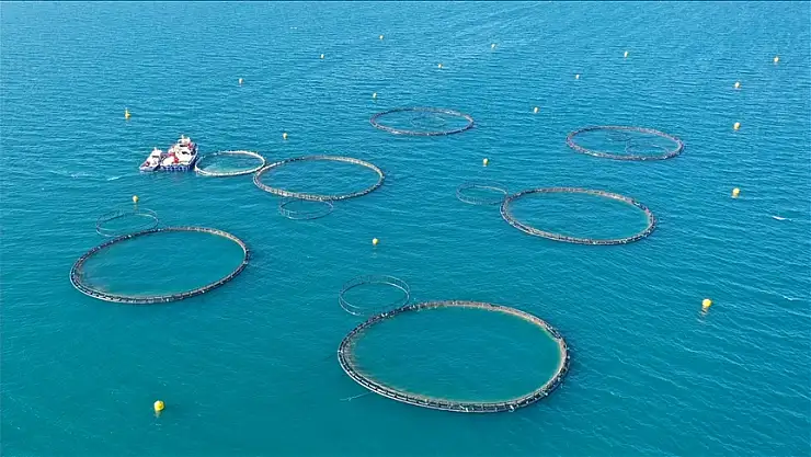 Su ürünleri yetiştiriciliği kriterlerinde düzenleme