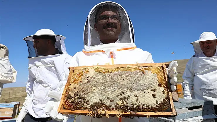 Iğdır Valisi Turan'dan bal hasadı