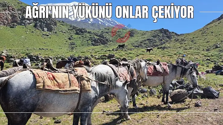 Ağrı'nın yükünü onlar çekiyor