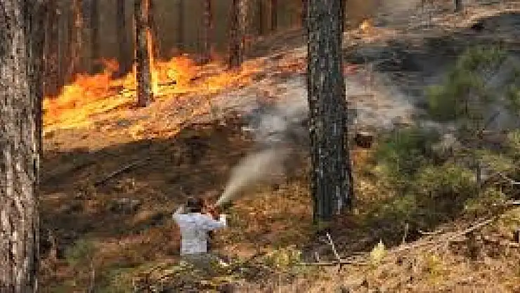 Provokatif  paylaşımlar yapan 20 hesaba inceleme