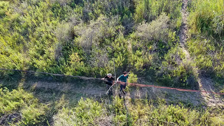 Iğdır'daki Aras Kuş Cenneti'nde 2 haftada 1100 kuş halkalandı