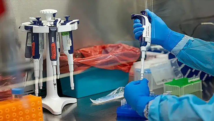 Sağlık Bakanlığı, 'M çiçeği' hastalığına ilişkin merak edilen soruları yanıtladı