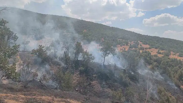 Bingöl'deki orman yangını söndürüldü