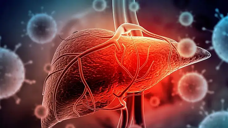 Hepatit, siroz ve diyabet, karaciğer kanseri riskini artırıyor