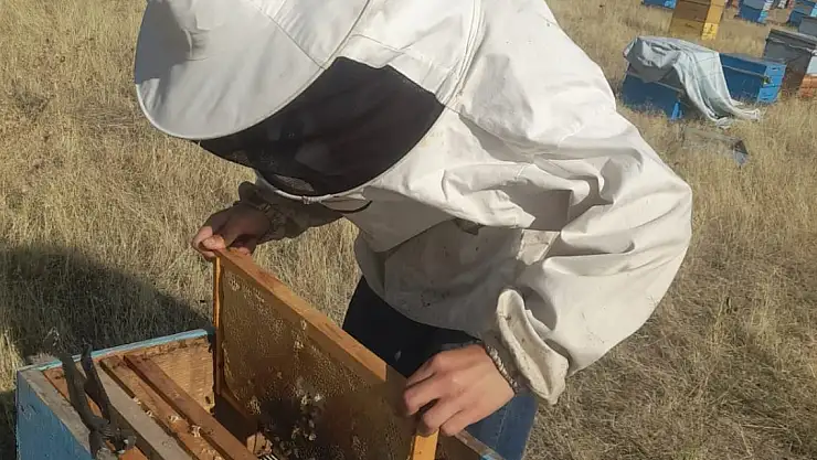 Ağrı'da arıcılar bal hasadından memnun