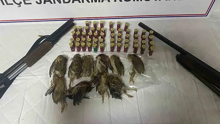 Van'da kaçak Bıldırcın avcılarına ceza yağdı