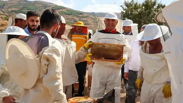 Muş'ta bal hasadı başladı