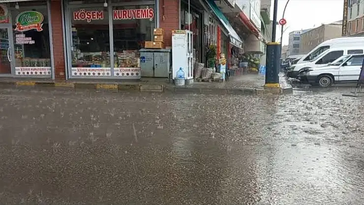 Diyadin'de sağanak hayatı olumsuz etkiledi