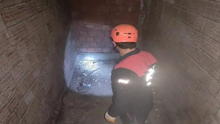 AFAD Ekipleri Mahsur Kalan Yavru Kediyi Kurtardı