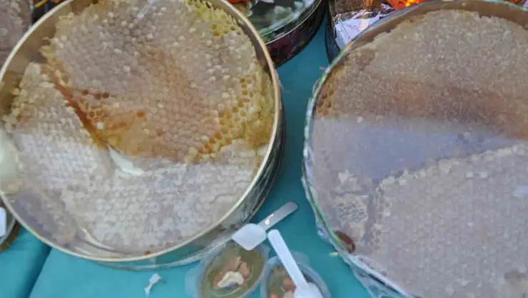 Bir kilo Sason balı 300 bin liradan satıldı