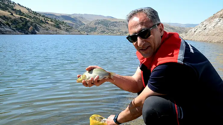 Kars'ta 1 milyon 680 bin sazan sulara bırakılıyor