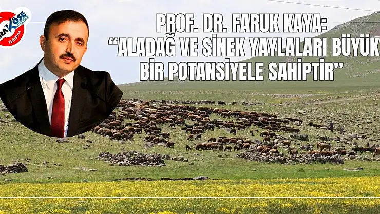Prof. Dr. Faruk Kaya: 'Aladağ ve Sinek yaylaları büyük bir potansiyele sahiptir'