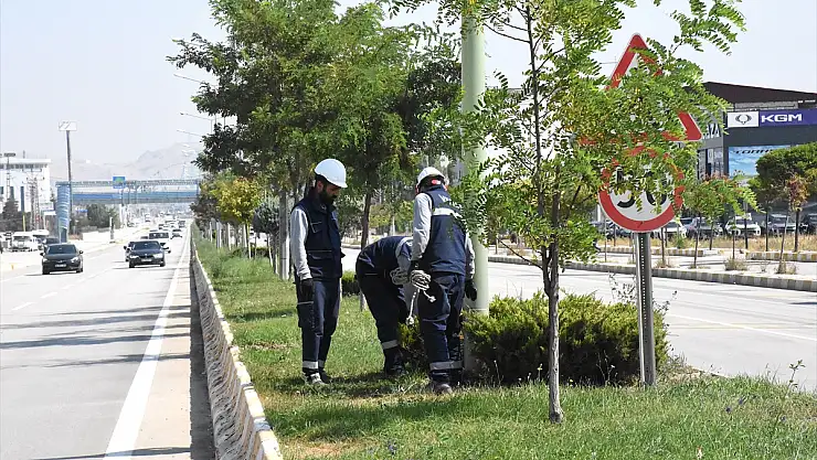 VEDAŞ'tan aydınlatma direkleriyle ilgili proje