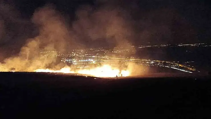 Muş'ta orman yangını