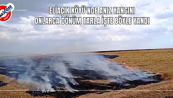Köyde onlarca dönüm tarla yandı