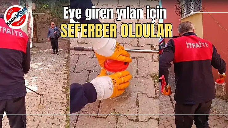 Eve giren yılan için seferber oldular