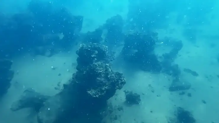 Van Gölü'nün koca mikrobiyalitleri doğa tutkunlarının ilgisini çekiyor