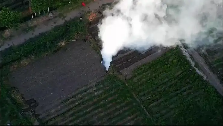 Diyarbakır'da milyonlarca lira değerinde Hint keneviri imha edildi